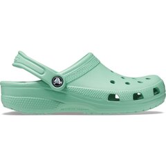 Crocs™ Classic 229947 цена и информация | Женские тапочки | pigu.lt