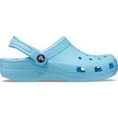 Crocs™ Classic 229980 цена и информация | Женские тапочки | pigu.lt