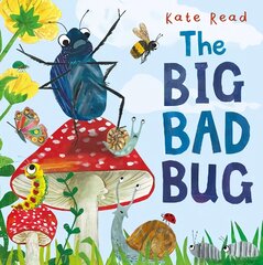 Big Bad Bug цена и информация | Книги для малышей | pigu.lt