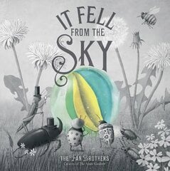 It Fell From The Sky цена и информация | Книги для малышей | pigu.lt