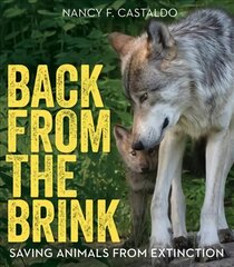 Back from the Brink: Saving Animals from Extinction kaina ir informacija | Knygos paaugliams ir jaunimui | pigu.lt