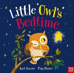 Little Owl's Bedtime Paperback kaina ir informacija | Knygos mažiesiems | pigu.lt