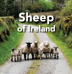 Sheep of Ireland цена и информация | Книги о питании и здоровом образе жизни | pigu.lt