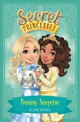 Secret princesses kaina ir informacija | Knygos paaugliams ir jaunimui | pigu.lt