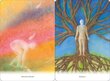 Body healing Cards kortos Schiffer Publishing цена и информация | Ezoterika | pigu.lt