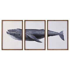 Набор из трех картин DKD Home Decor Кит (150 x 2 x 70 cm) цена и информация | Репродукции, картины | pigu.lt