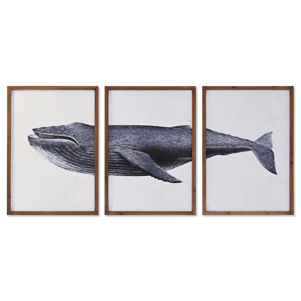 Trijų paveikslų rinkinys Banginis цена и информация | Reprodukcijos, paveikslai | pigu.lt