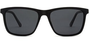 Солнцезащитные очки Label L1523N Polarized цена и информация | Легкие и мощные прозрачные защитные очки для велосипедов | pigu.lt