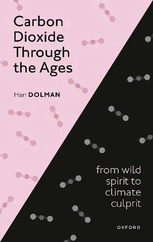 Carbon Dioxide through the Ages: From wild spirit to climate culprit 1 цена и информация | Ekonomikos knygos | pigu.lt