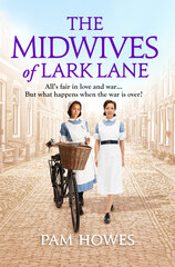 Midwives of Lark Lane цена и информация | Фантастика, фэнтези | pigu.lt