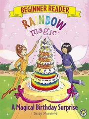 Rainbow magic beginner reader kaina ir informacija | Knygos paaugliams ir jaunimui | pigu.lt