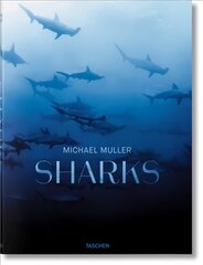 Michael Muller. Sharks: Face-to-Face with the Ocean's Endangered Predator kaina ir informacija | Fotografijos knygos | pigu.lt