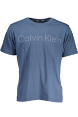 Мужская футболка Calvin Klein, синяя цена и информация | Мужские футболки | pigu.lt