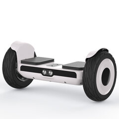 Электрический баланс автомобиль/скутер Litbot D120A 200kg 200 times/sec Низкая защита аккумуляторов цена и информация | Смарттехника и аксессуары | pigu.lt
