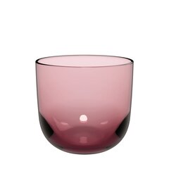 Villeroy&Boch stiklinės, 2 vnt. kaina ir informacija | Taurės, puodeliai, ąsočiai | pigu.lt
