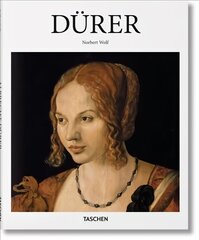 Durer цена и информация | Книги об искусстве | pigu.lt