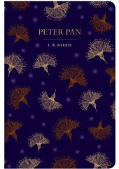Peter pan kaina ir informacija | Fantastinės, mistinės knygos | pigu.lt