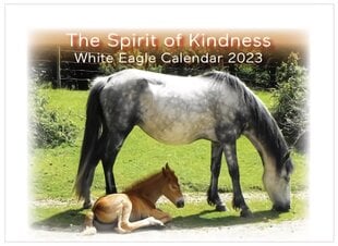 Spirit of Kindness - White Eagle Calendar 2023 цена и информация | Самоучители | pigu.lt