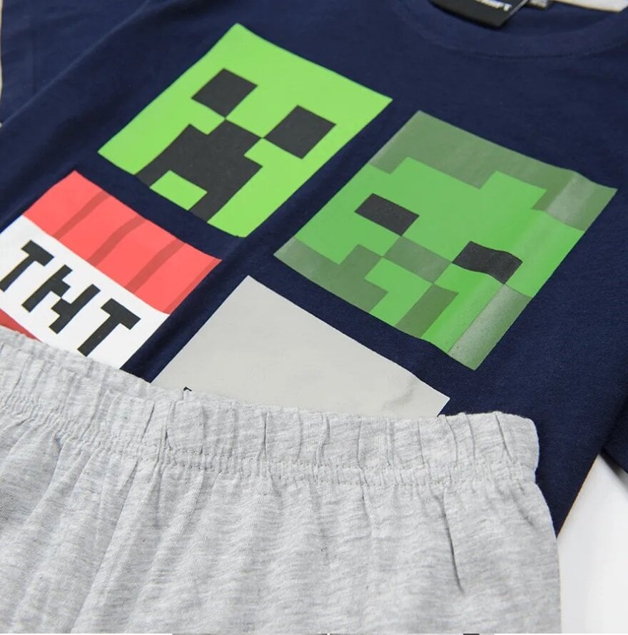 Pižama berniukams Minecraft kaina ir informacija | Pižamos, chalatai berniukams | pigu.lt