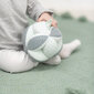 Minkštas veiklos kamuoliukas Nattou kaina ir informacija | Žaislai kūdikiams | pigu.lt