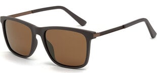 Солнцезащитные очки Label L1523B Polarized цена и информация | Солнцезащитные очки для мужчин | pigu.lt