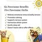 Raminantys lašai Munati Anicalm, 50 ml цена и информация | Vitaminai, papildai, antiparazitinės priemonės šunims | pigu.lt