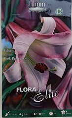 Лилия Pink Perfection цена и информация | Луковицы цветов | pigu.lt