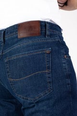 Джинсы BLK JEANS цена и информация | Мужские брюки FINIS | pigu.lt