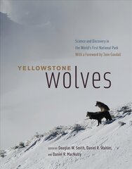 Yellowstone Wolves: Science and Discovery in the World's First National Park цена и информация | Книги о питании и здоровом образе жизни | pigu.lt