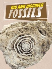 Dig and Discover Fossils kaina ir informacija | Knygos paaugliams ir jaunimui | pigu.lt