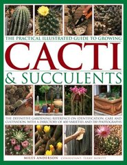 Practical Illustrated Guide to Growing Cacti & Succulents: The Definitive Gardening Reference on Identification, Care and Cultivation, with a Directory of 400 Varieties and 700 Photographs цена и информация | Книги по садоводству | pigu.lt