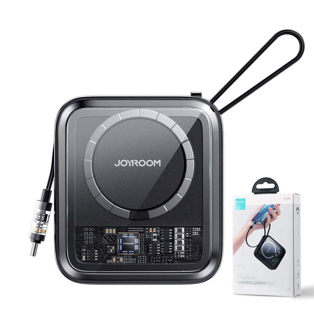 Joyroom Icy Series JR-L006 10000mAh цена и информация | Atsarginiai maitinimo šaltiniai (power bank) | pigu.lt