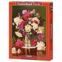 Dėlionė su gėlėmis Castorland Beautiful Pheonies, 500 d. kaina ir informacija | Dėlionės (puzzle) | pigu.lt