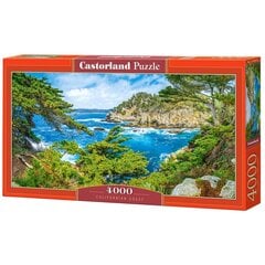 Dėlionė su gamtos vaizdu Castorland Californian Coast, 4000 d. kaina ir informacija | Dėlionės (puzzle) | pigu.lt