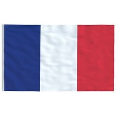 VidaXL Prancūzijos vėliava su stiebu, 6,23 m цена и информация | Флаги и аксессуары к ним | pigu.lt