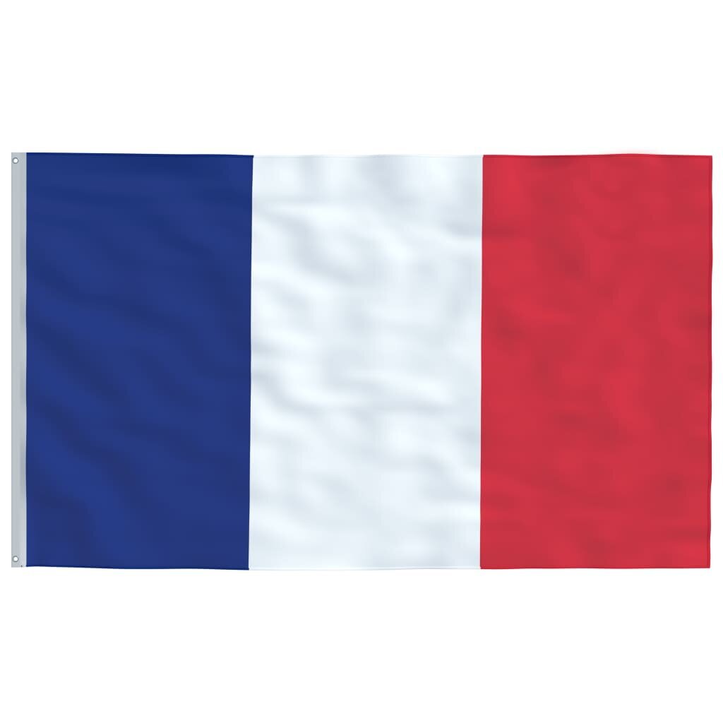 VidaXL Prancūzijos vėliava su stiebu, 6,23 m цена и информация | Vėliavos ir jų priedai | pigu.lt