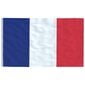 VidaXL Prancūzijos vėliava su stiebu, 6,23 m цена и информация | Vėliavos ir jų priedai | pigu.lt