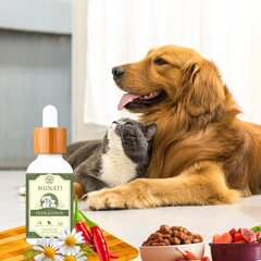 Virškinimo lašai naminiams gyvūnams Munati Pedigestion, 50 ml kaina ir informacija | Vitaminai, papildai, antiparazitinės priemonės šunims | pigu.lt