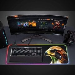 Renew Force RGB XXL kaina ir informacija | Pelės | pigu.lt