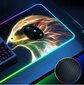 Renew Force RGB XXL цена и информация | Pelės | pigu.lt