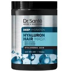 Drėkinamoji plaukų kaukė Dr.Sante Deep Hydration Hair Mask, 1000 ml цена и информация | Средства для укрепления волос | pigu.lt