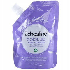 Dažanti plaukų kaukė Echosline Color.up Colouring Conditioning Mask Grey Lavender, 150ml kaina ir informacija | Priemonės plaukų stiprinimui | pigu.lt