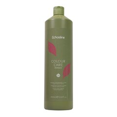 Шампунь для окрашенных волос Echosline Colour Care Shampoo, 1000 мл цена и информация | Шампуни | pigu.lt