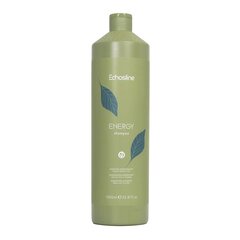 Энергетический шампунь для слабых и тонких волос Echosline Energy Shampoo, 1000 мл цена и информация | Шампуни | pigu.lt