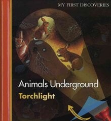 Animals Underground цена и информация | Книги для подростков  | pigu.lt