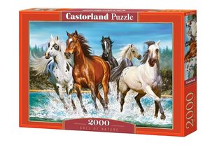 Dėlionė su žirgais Castroland, 2000 d. kaina ir informacija | Dėlionės (puzzle) | pigu.lt