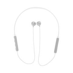 GJBY headphones - SPORTS BLUETOOTH CA-113 White цена и информация | Наушники | pigu.lt