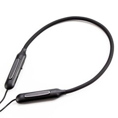 GJBY headphones - SPORTS BLUETOOTH CA-125 Blue цена и информация | Наушники | pigu.lt