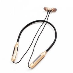 GJBY headphones - SPORTS BLUETOOTH CA-125 Gold цена и информация | Наушники | pigu.lt