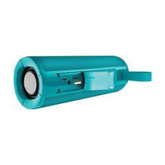 Borofone Portable Bluetooth Speaker BR1 Beyond turquoise цена и информация | Аудиоколонки | pigu.lt